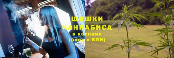 индика Арсеньев