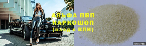 индика Арсеньев