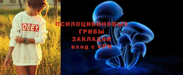 хмурый Семилуки