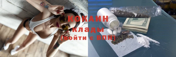 spice Аркадак