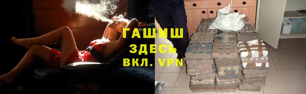 индика Арсеньев