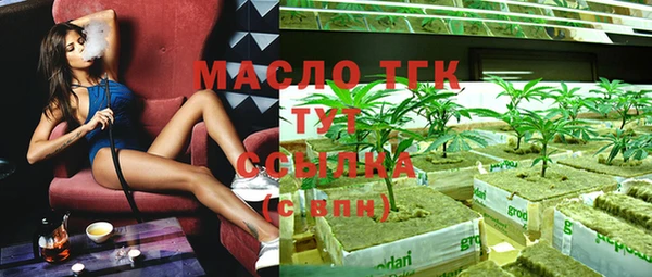 индика Арсеньев