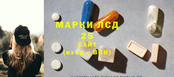 индика Арсеньев