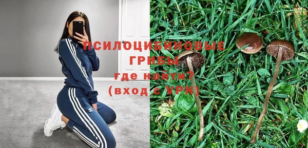 таблы Алексин
