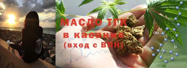 индика Арсеньев