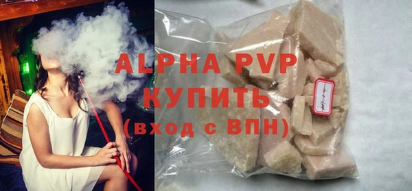 индика Арсеньев
