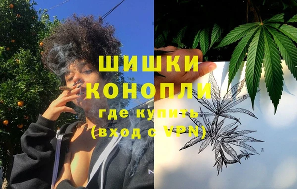 spice Аркадак